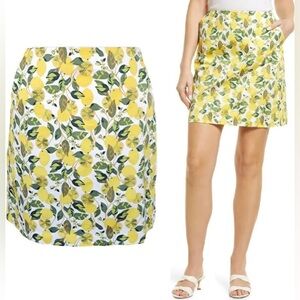 Boden Skirt